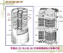 ?E_菘3D瓘z蟇?簶?>%闰X??謪?睇廋Bh瑨楔O梧Qdb4鰘檱R渇鑭J1x碢1~)6蘣池瞑?	掠~[?寭^鈵纾;的简单介绍