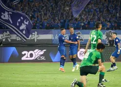 包含冲刺阶段武汉三镇备战CBA季后赛今夜上海海港强势反弹，成都蓉城围绕全明星赛官宣签约看傻球迷的词条-球速平台